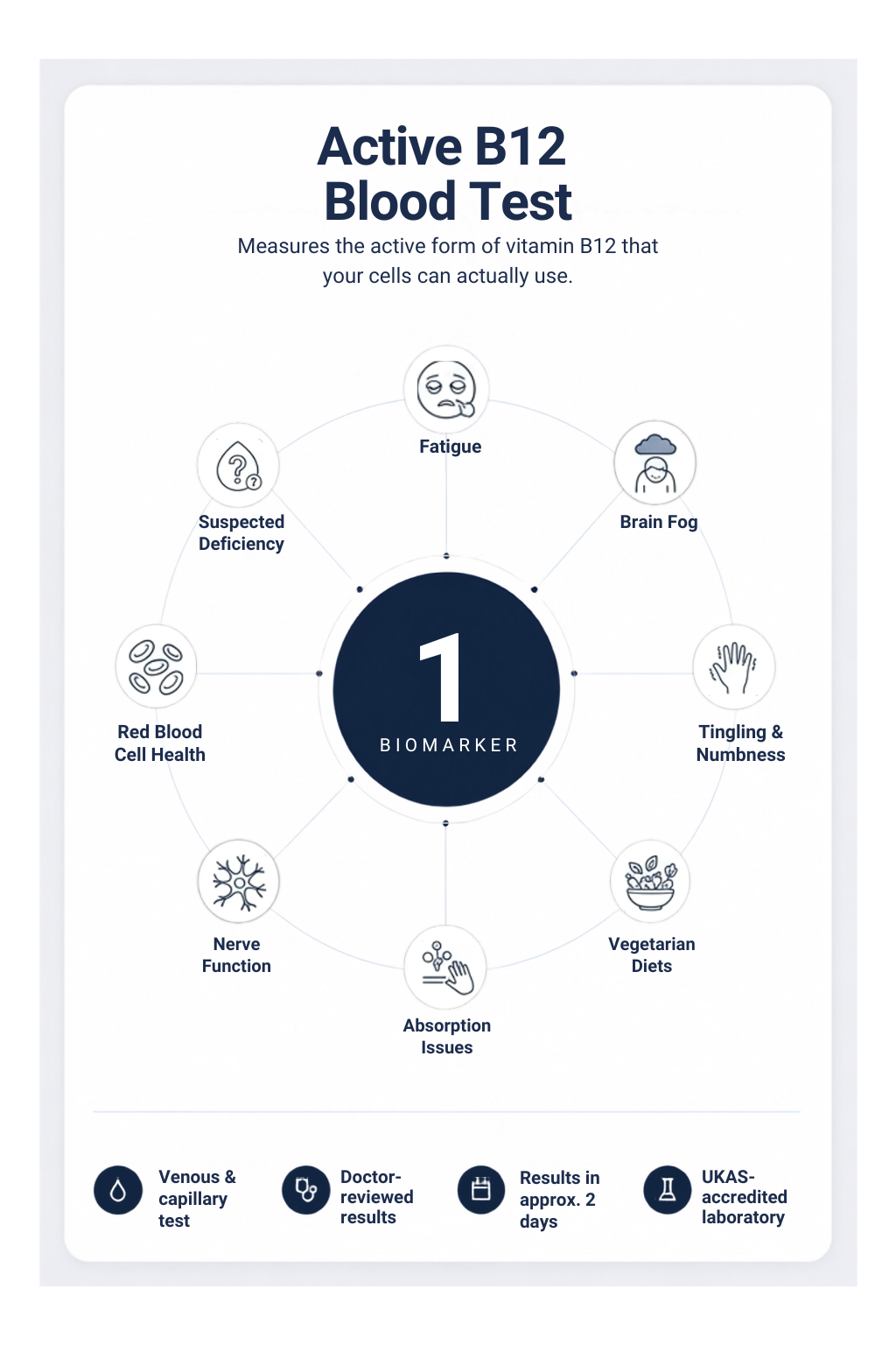 Active B12 Blood Test