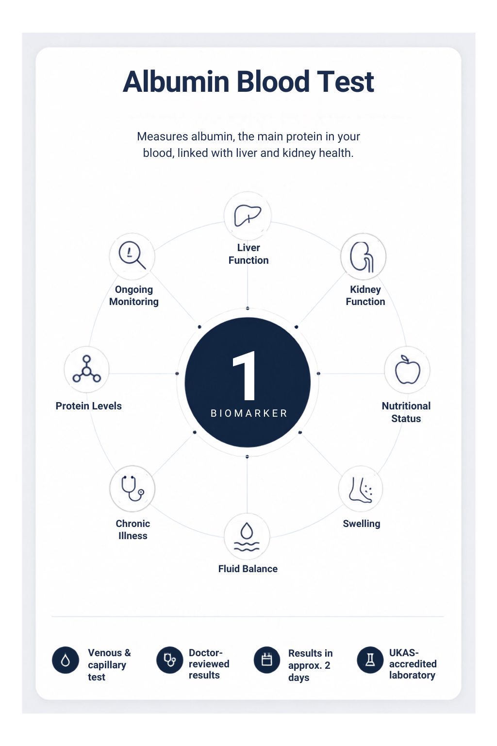 Albumin Blood Test
