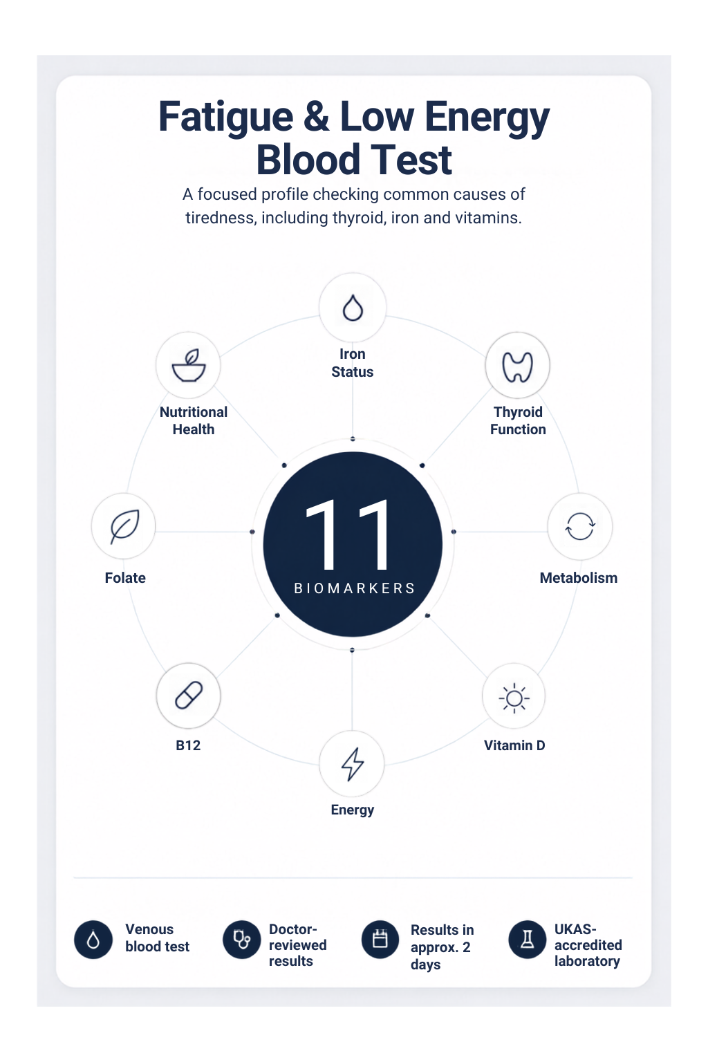 Fatigue & Low Energy Blood Test