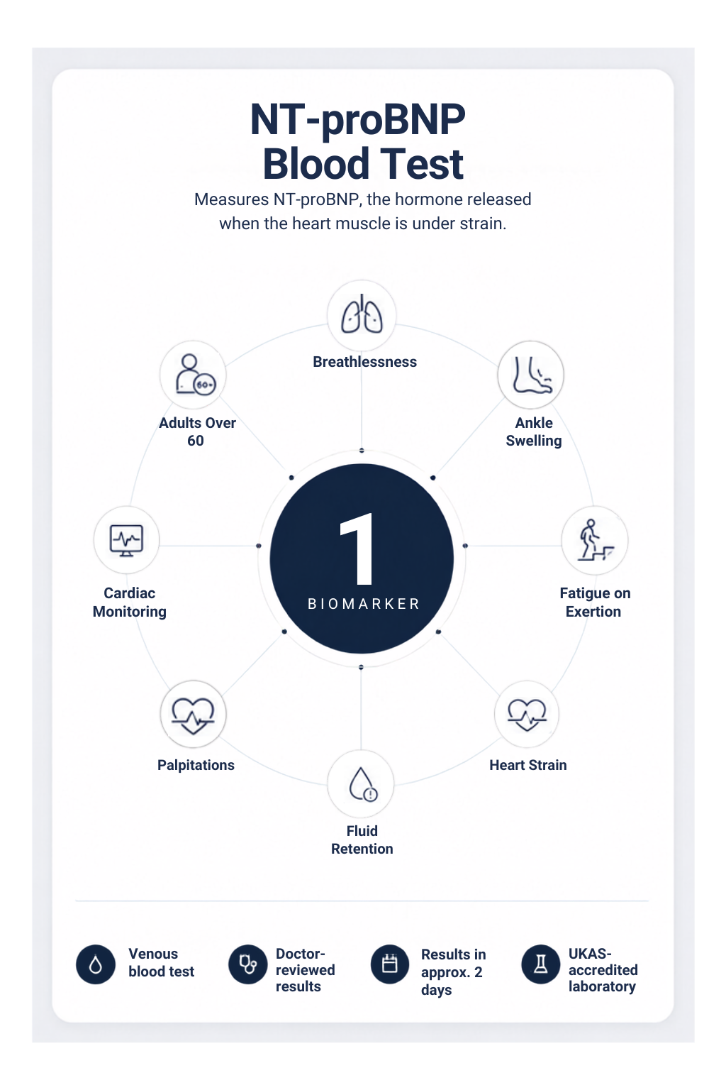 NT-proBNP Blood Test