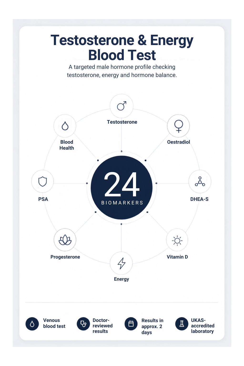 Testosterone & Energy Blood Test