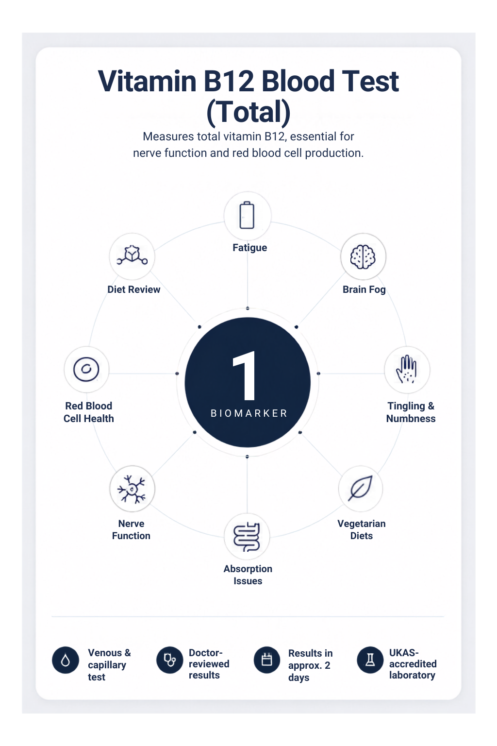 Vitamin B12 Blood Test (Total)